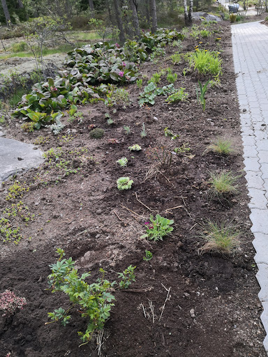 Askel tuntemattomalle alueelle