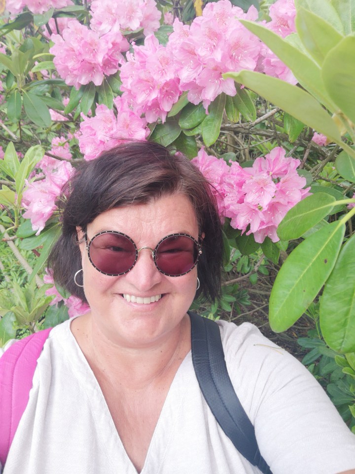 Alppiruusuja ja avoimia&nbsp;aisteja