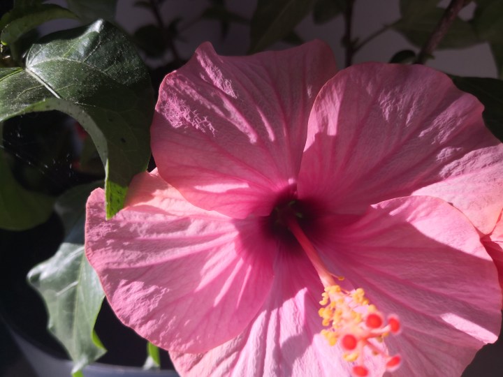 Ryhtymään ryhtymisestä ja irti&nbsp;päästämisestä