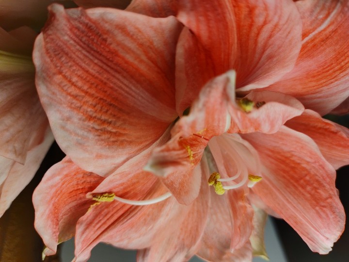 Joulun toisenlainen kauppalista