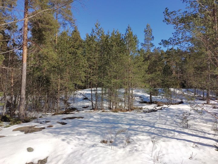 Kevät saa siivoamaan – myös&nbsp;päätä