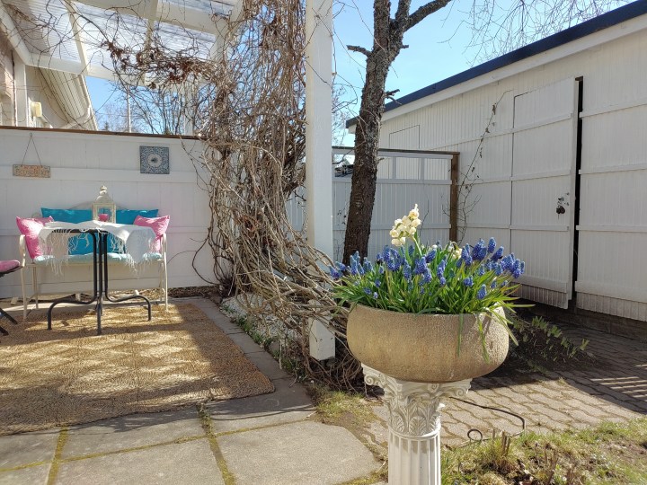 Tyhjä puutarha on kuin puhdas&nbsp;pöytä