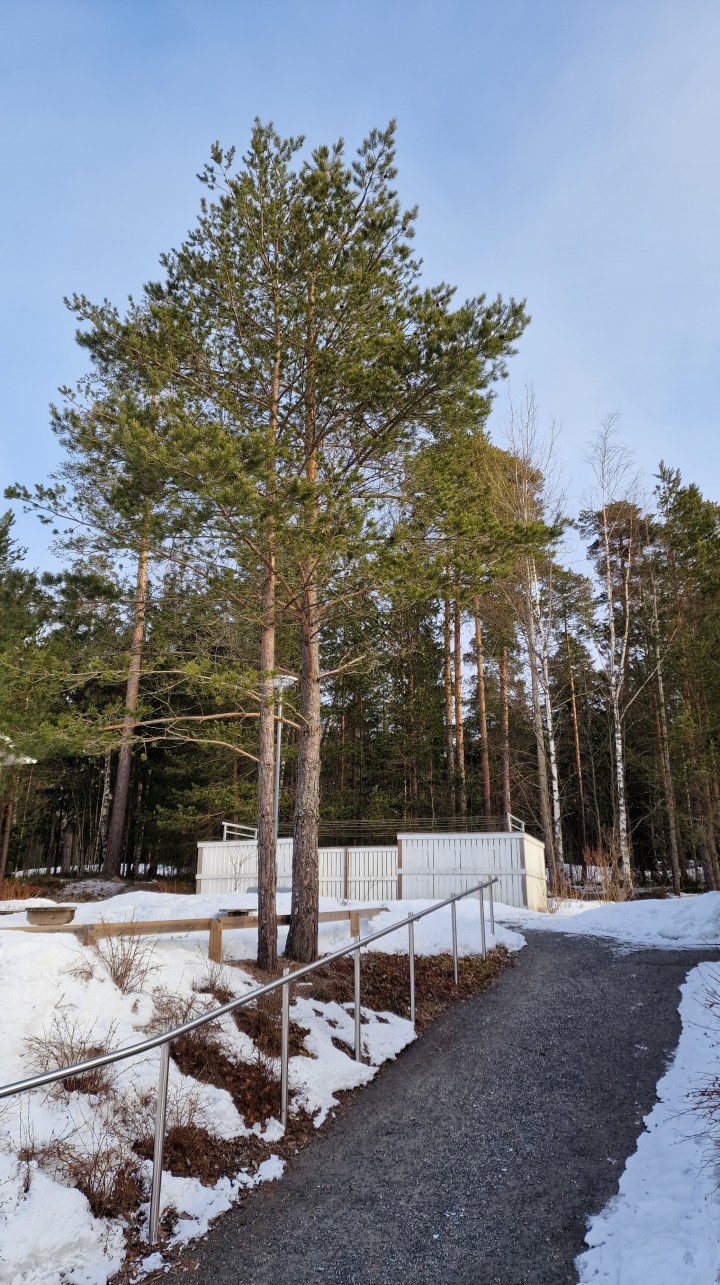 Hiljaisuuden retriittiä ja kevään&nbsp;tuloa